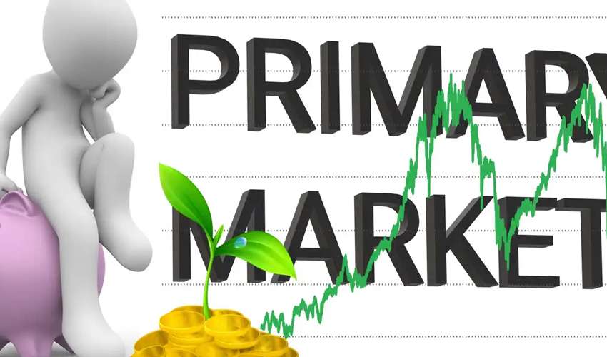 what is primary market